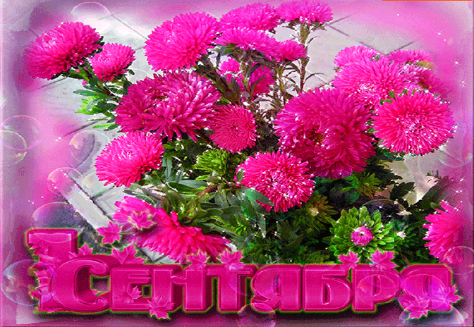 news11072025 1 min